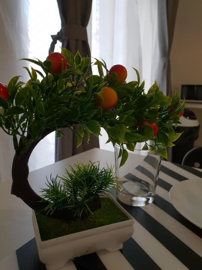 Perla Sicula Bed & Breakfast Catania Exterior photo
